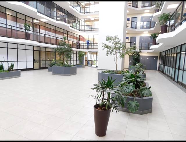 127M² OFFICE TO LET IN FERNDALE